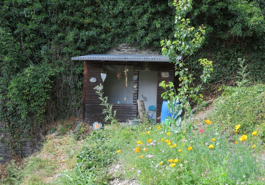 Ferienhaus Mauseloch Kaub Bagian luar foto